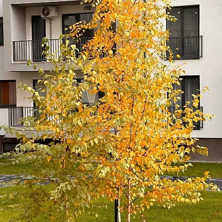 Apartment Atol *